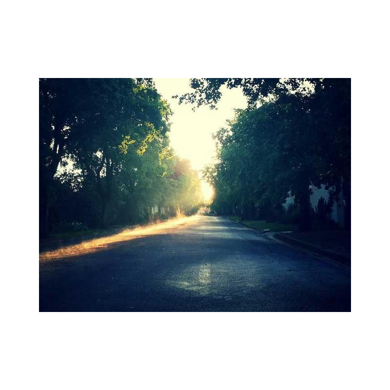 Mediocre Steel Shoes fr-FR